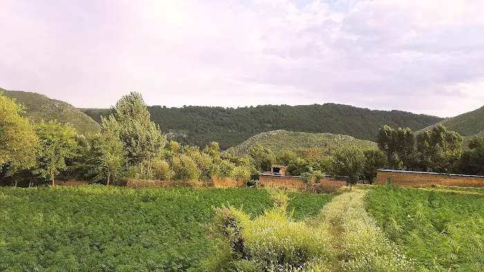 Nims kohat Picture 5
