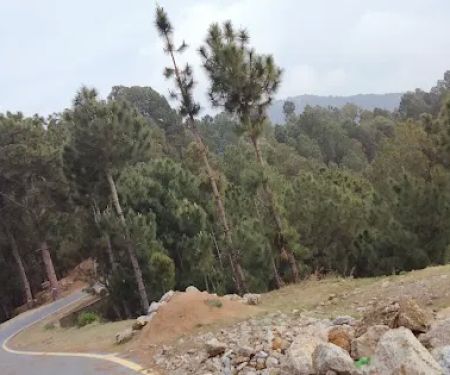 GPS pikrari