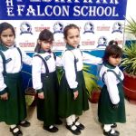 The Peshawar Falcon School