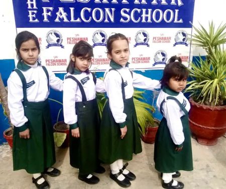 The Peshawar Falcon School
