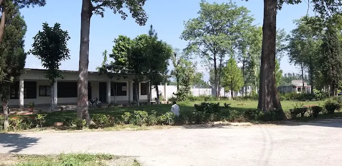 Govt Degree College khairabad Picture 8