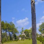 Government Degree college hangu(male)
