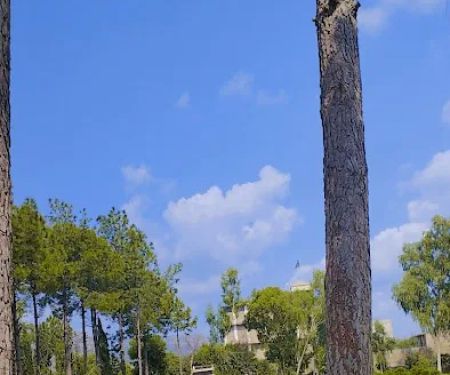 Government Degree college hangu(male)