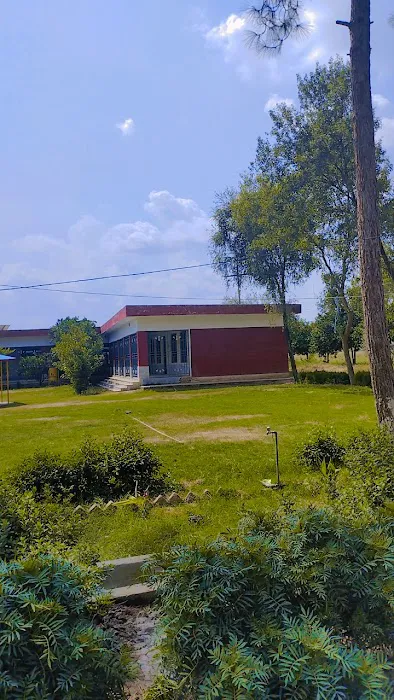 Government Degree college hangu(male) Picture 7