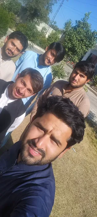 Govt college of Management Science Picture 3