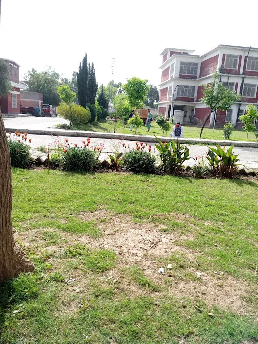 Hangu Campus KUST Picture 7