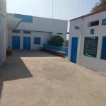 Niazi College