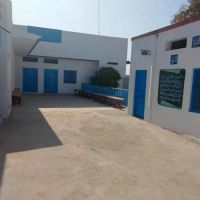 Niazi College ico