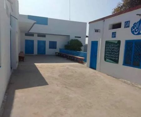 Niazi College