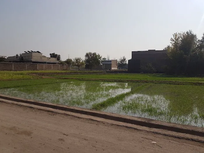 Al Jamia Al Asaria Chamkani Picture 6