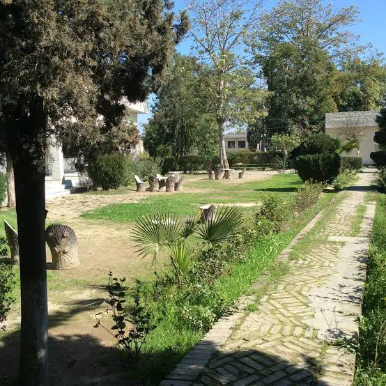Government Girls Degree College Charsadda Picture 5