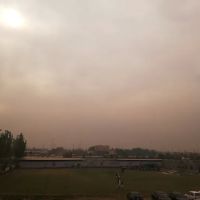Jinnah Medical College Peshawar ico
