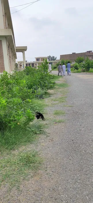 Government College Of Management Sciences G.T. Road Peshawar Picture 3