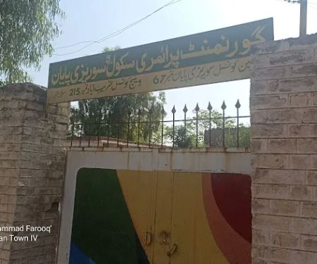 Govt primary school no 3 surizai payan