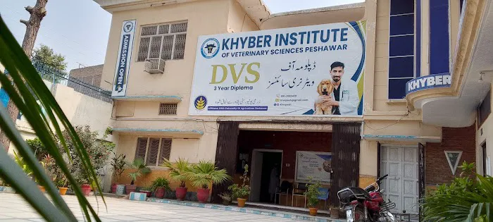 Khyber Institute of Veterinary Science Picture 2