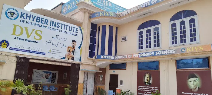 Khyber Institute of Veterinary Science Picture 3