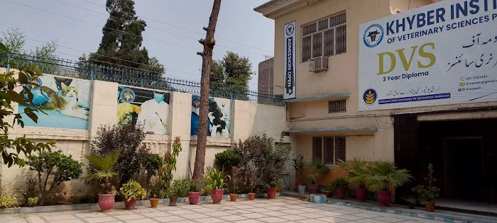 Khyber Institute of Veterinary Science Picture 6