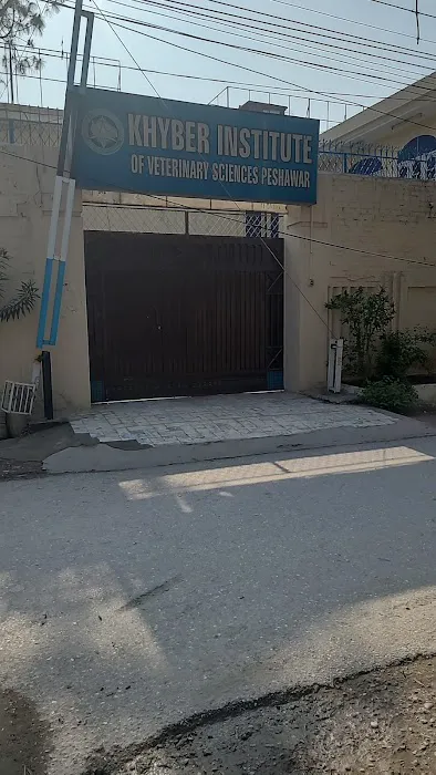 Khyber Institute of Veterinary Science Picture 1