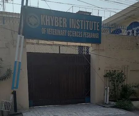 Khyber Institute of Veterinary Science