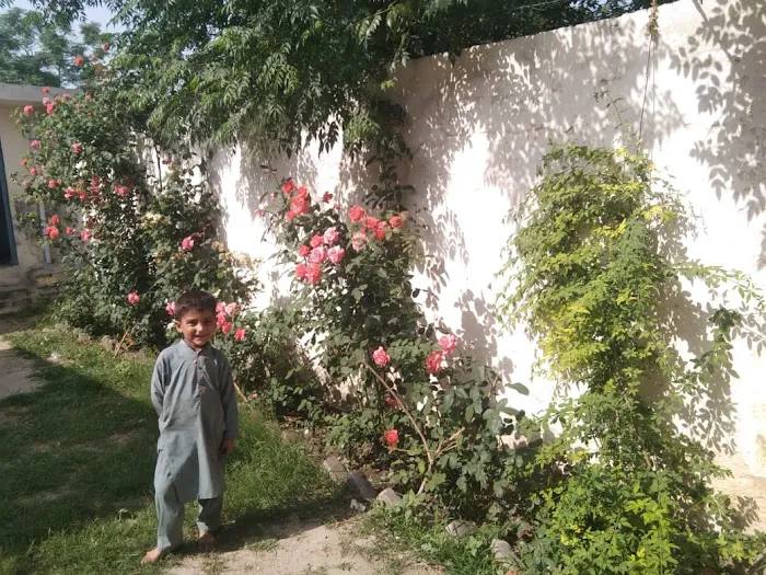 GPS No. 1 Serai (SUDHER) Swabi Picture 2