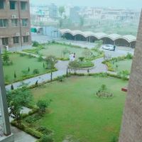 Zulfiqar Ali Bhutto Postgraduate Paramedical Institute ico