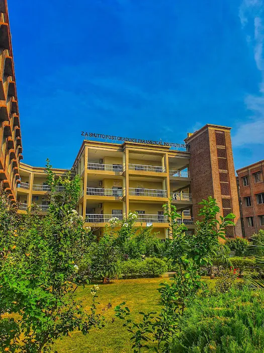 Zulfiqar Ali Bhutto Postgraduate Paramedical Institute Picture 4
