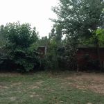 Government Primary School (Boys), KOT SHAMAS
