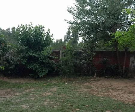 Government Primary School (Boys), KOT SHAMAS
