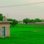 GGPS Saideen Shah