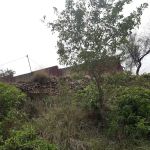 Govt Primary School Kamrewala