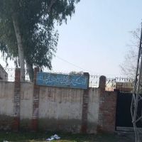 Government Elementary College For Girls Jamrud ico