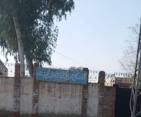 Government Elementary College For Girls Jamrud