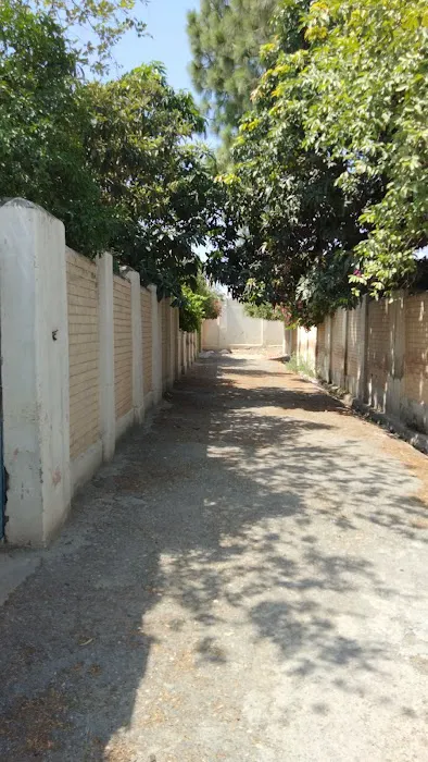 Government Elementary College For Girls Jamrud Picture 6
