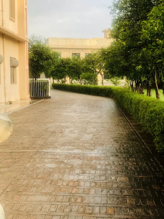 Imam bukhari university Picture 4