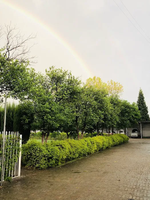 Imam bukhari university Picture 5