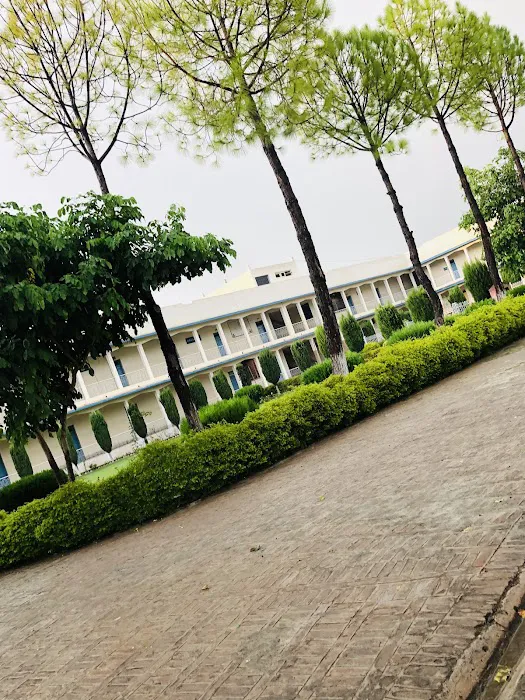 Imam bukhari university Picture 8