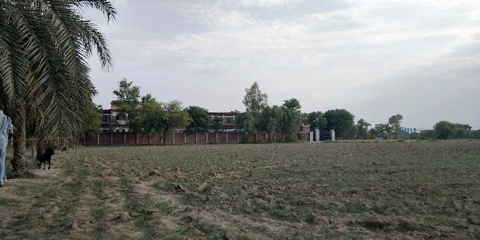 Government Degree College Domel Bannu Picture 5