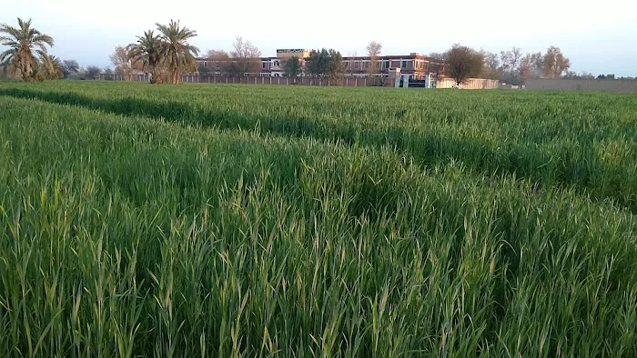 Government Degree College Domel Bannu Picture 7