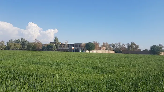 Government Degree College Domel Bannu Picture 6
