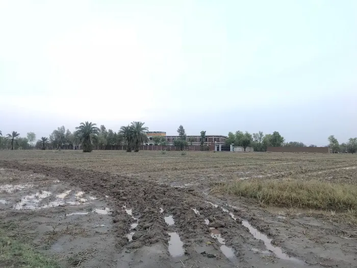 Government Degree College Domel Bannu Picture 9