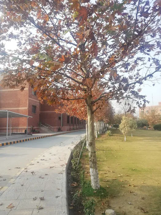 Institute of Management Sciences (IMSciences), Peshawar Picture 4