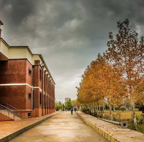 Institute of Management Sciences (IMSciences), Peshawar Picture 5