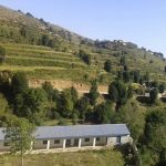 Govt. Primary School Charye