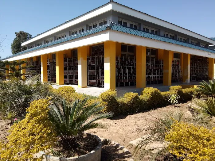 Government Higher Secondary School Baffa, Mansehra Picture 10