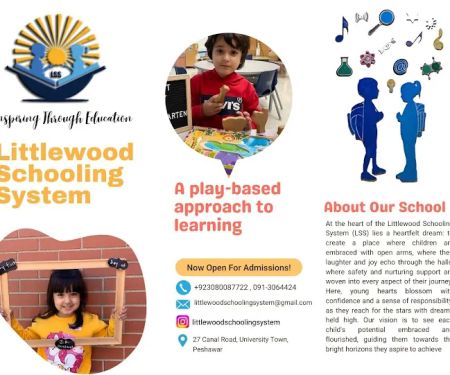 Littlewood Schooling System