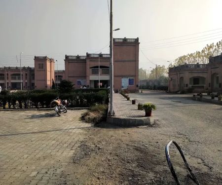 Government Girls Degree College Katlang