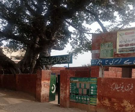 Government Primary School (Boys)