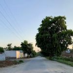 Government Primary School Noor Jehan Dhok Jalbai