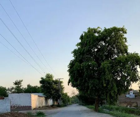 Government Primary School Noor Jehan Dhok Jalbai