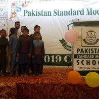 Pakistan standard model school ico